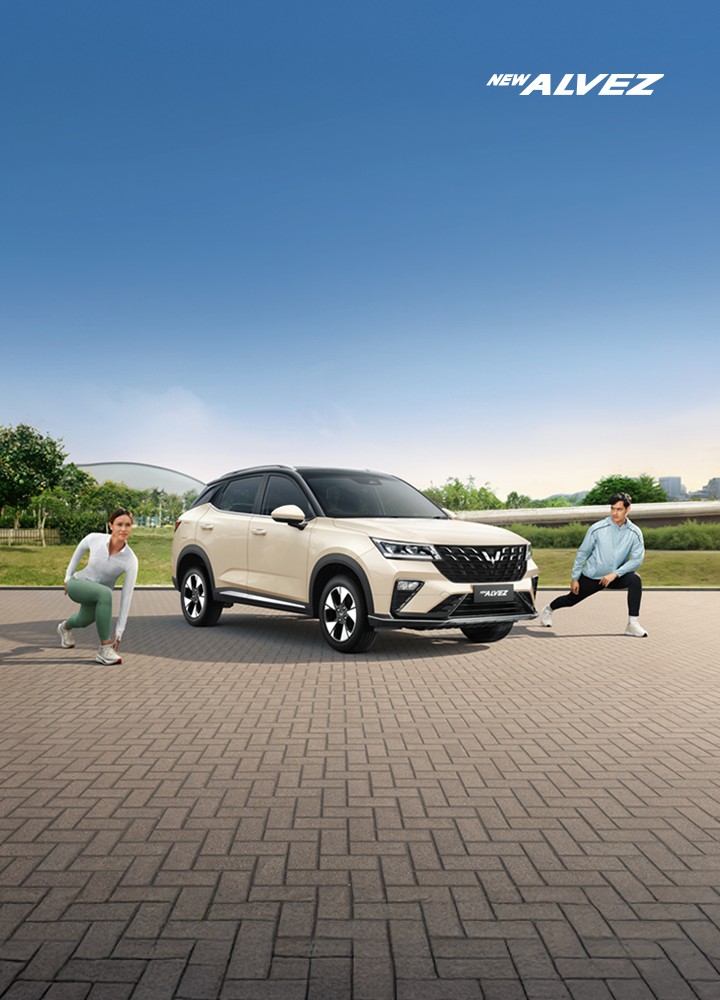 New Alvez